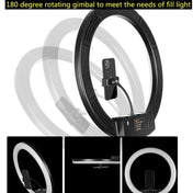 18 inch+6 Phone Clips+Microphone Pole Dimmable Color Temperature LED Ring Fill Light Live Broadcast Set With 2.1m Tripod Mount, CN Plug - Eurekaonline
