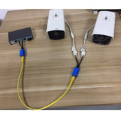 2 Sets RJ45 Network Signal Splitter Upoe Separation Cable, Style:U-02 3 Crystal Heads + 1 Female - Eurekaonline