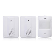 2 to 1 PIR Infrared Sensors Wireless Doorbell Alarm Detector for Home / Office - Eurekaonline