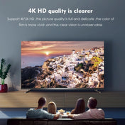 4K 60Hz HDMI Female to Display Port Male Adapter Eurekaonline