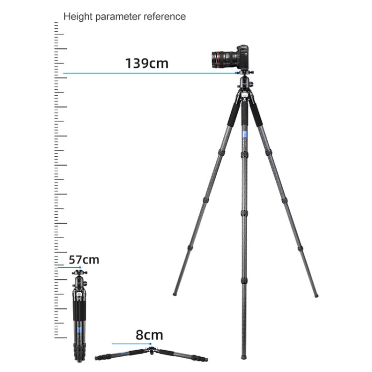 BEXIN RC294 Portable Collapsible Carbon Fiber Camera Tripod Eurekaonline