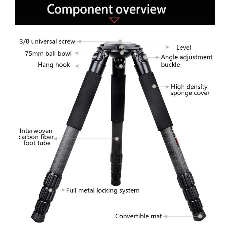 BEXIN ST424C Rugged Camcorder Photographic Carbon Fiber Big Tripod, Max Tube: 40mm Eurekaonline