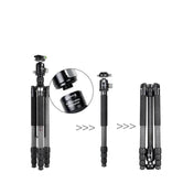 BEXIN W324C M44 Carbon Fiber Tripod Stable Shooting Camera for Vdeo Point Dslr Camera Eurekaonline