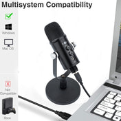 BM-86 USB Condenser Microphone Voice Recording Computer Microphone Live Broadcast Equipment Set, Specification: Standard+Small Blowout Prevention Net Eurekaonline