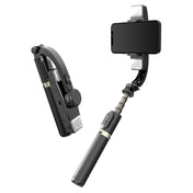 CYKE Q08D Handheld Dual Light Bluetooth Mobile Phone Selfie Stick(Black) Eurekaonline