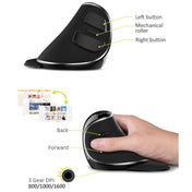 DELUX M618 Plus 2.4G 1600DPI Wireless Portable Vertical Ergonomic Mouse Eurekaonline