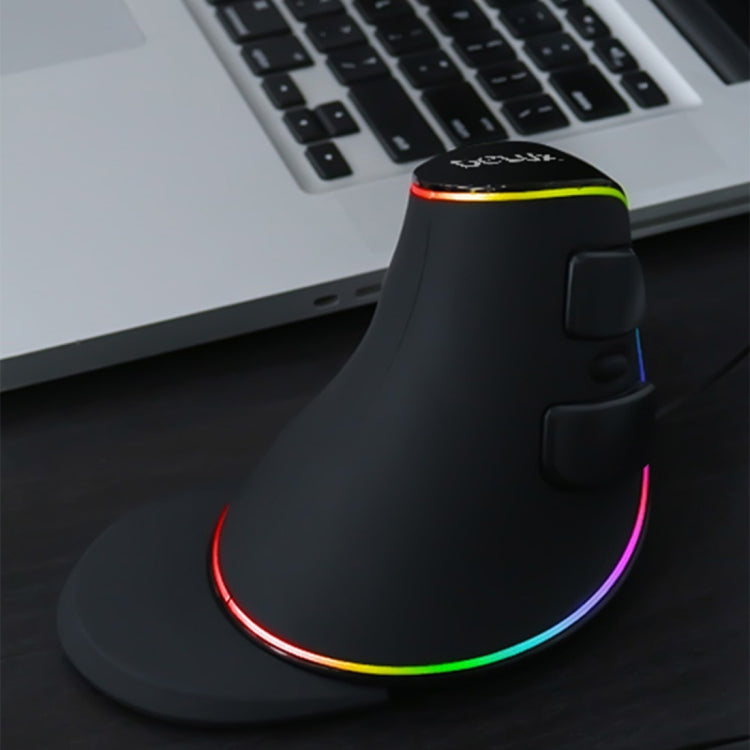 DELUX M618 Plus RGB Wired Optical Mouse Ergonomic Vertical Mouse 4000DPI Eurekaonline