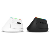 DELUX M618C 6 Keys 1600 DPI RGB Vertical Wireless Bluetooth Dual Mode Mouse(Black) Eurekaonline