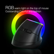 DELUX M618C 6 Keys 1600 DPI RGB Vertical Wireless Bluetooth Dual Mode Mouse(Black) Eurekaonline