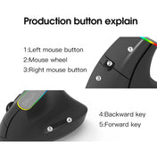 DELUX M618C 6 Keys 1600 DPI RGB Vertical Wireless Bluetooth Dual Mode Mouse(White) Eurekaonline