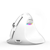 DELUX M618Mini Colorful Wireless Luminous Vertical Mouse Bluetooth Rechargeable Vertical Mouse(Color white) Eurekaonline