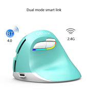 DELUX M618Mini Colorful Wireless Luminous Vertical Mouse Bluetooth Rechargeable Vertical Mouse(Elegant black) Eurekaonline