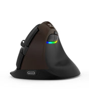 DELUX M618Mini Colorful Wireless Luminous Vertical Mouse Bluetooth Rechargeable Vertical Mouse(Elegant black) Eurekaonline