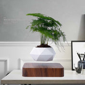 Diamond Plastic Flower Pot + Dark Wood Grain Base Magnetic Levitation Potted Plant Home Decoration, EU Plug Eurekaonline