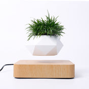 Diamond Plastic Flower Pot + Light Wood Grain Base Magnetic Levitation Potted Plant Home Decoration, EU Plug Eurekaonline