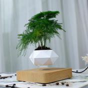 Diamond Plastic Flower Pot + Light Wood Grain Base Magnetic Levitation Potted Plant Home Decoration, EU Plug Eurekaonline