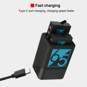 Dual Batteries Charger with USB-C / Type-C Cable for GoPro HERO6 /5 Eurekaonline