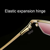 Dual-purpose Photochromic Presbyopic Glasses, +1.50D(Gold) Eurekaonline