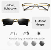 Dual-purpose Photochromic Presbyopic Glasses, +1.50D(Gold) Eurekaonline