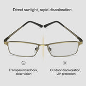 Dual-purpose Photochromic Presbyopic Glasses, +1.50D(Gold) Eurekaonline