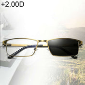 Dual-purpose Photochromic Presbyopic Glasses, +2.00D(Gold) Eurekaonline