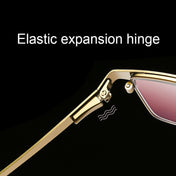 Dual-purpose Photochromic Presbyopic Glasses, +3.00D(Gold) Eurekaonline