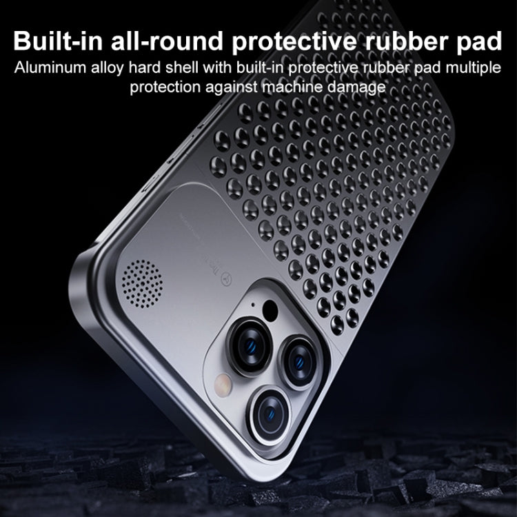 Aluminium iPhone 13 Pro Max Case, Silver