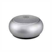 EWA A110mini High Hidelity Bluetooth Speaker Small Size High Power Bass, TWS Bluetooth Technology, Support TF(Silver) Eurekaonline