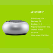 EWA A110mini High Hidelity Bluetooth Speaker Small Size High Power Bass, TWS Bluetooth Technology, Support TF(Silver) Eurekaonline