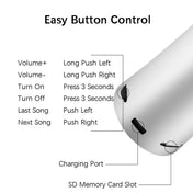 EWA A115 Portable Metal Bluetooth Speaker 105H Power Hifi Stereo Outdoor Subwoofer(Silver) Eurekaonline