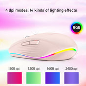 Fmouse M303 2400DPI Bluetooth&2.4G Dual Modes Rechargeable RGB Mouse(Gray) Eurekaonline