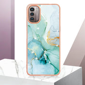 For Nokia G21 / G11 Electroplating Marble Pattern Dual-side IMD TPU Phone Case(Green 003) Eurekaonline