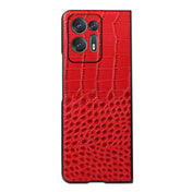 For OPPO Find N2 Crocodile Top Layer Cowhide Leather Phone Case(Red) Eurekaonline