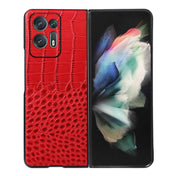 For OPPO Find N2 Crocodile Top Layer Cowhide Leather Phone Case(Red) Eurekaonline