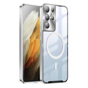 For Samsung Galaxy S21 Ultra Frosted Metal Phone Case(Silver) Eurekaonline