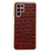 For Samsung Galaxy S22 Ultra 5G Genuine Leather Ostrich Texture Series Nano Electroplating Phone Case(Brown) Eurekaonline