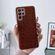 For Samsung Galaxy S22 Ultra 5G Genuine Leather Ostrich Texture Series Nano Electroplating Phone Case(Brown) Eurekaonline