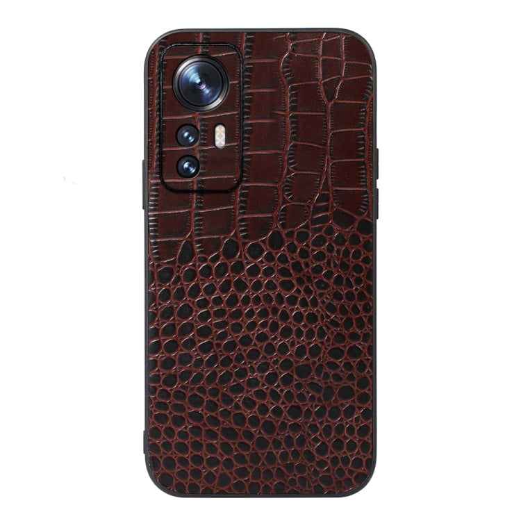 For Xiaomi 12 Pro Crocodile Top Layer Cowhide Leather Phone Case(Coffee) Eurekaonline