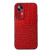 For Xiaomi 12 Pro Crocodile Top Layer Cowhide Leather Phone Case(Red) Eurekaonline