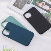 For iPhone 12 / 12 Pro ROCK Liquid Silicone Shockproof Protective Case(Black) Eurekaonline