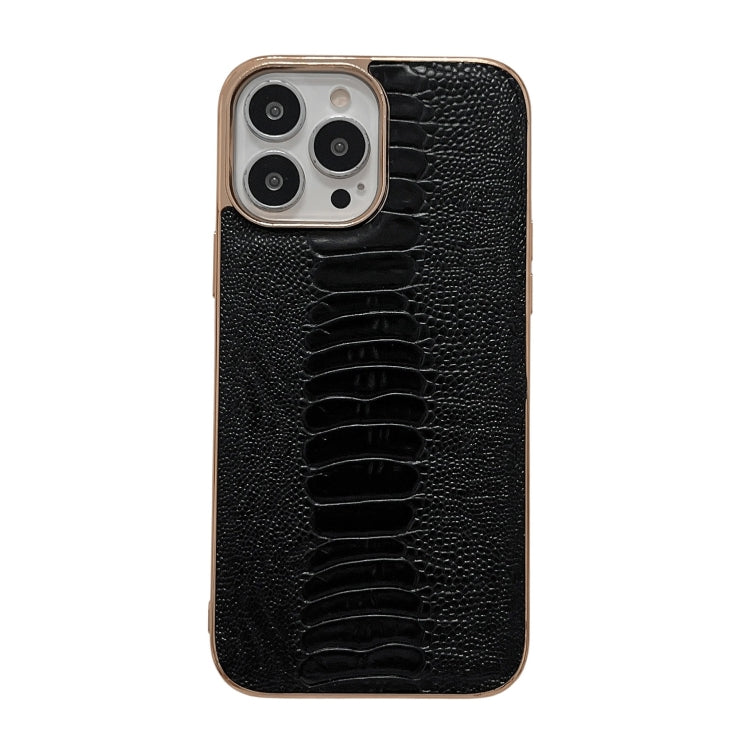 For iPhone 13 Pro Max Genuine Leather Pinshang Series Nano Electroplating Phone Case (Black) Eurekaonline