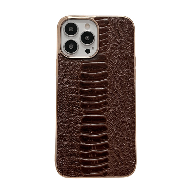 For iPhone 13 Pro Max Genuine Leather Pinshang Series Nano Electroplating Phone Case (Coffee) Eurekaonline