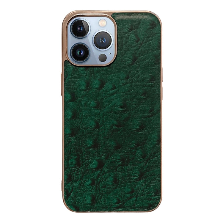 For iPhone 14 Pro Max Genuine Leather Ostrich Texture Nano Case (Green) Eurekaonline