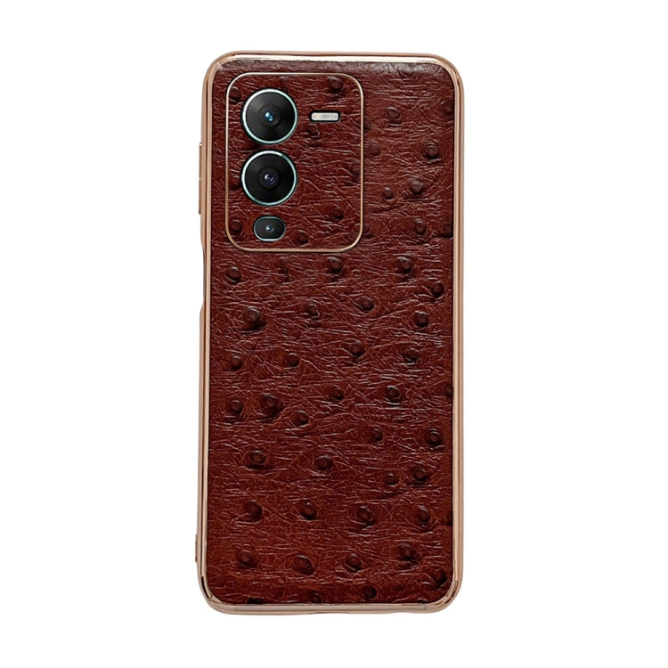 For vivo S15 5G Genuine Leather Ostrich Texture Nano Plating Phone Case(Coffee) Eurekaonline