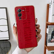 For vivo S15 5G Genuine Leather Weilai Series Nano Plating Phone Case(Red) Eurekaonline