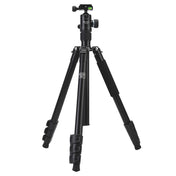 Fotopro F5 4-Section Quick Unlock Tripod Monopod with Ball Head (Black) Eurekaonline