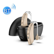 GM-301 Hearing Aid Rechargeable Sound Amplifier,Spec: With Charging Pod Skin Color+Black Eurekaonline