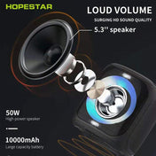 HOPESTAR Party100 Bluetooth 5.0 Portable Waterproof Wireless Bluetooth Speaker with Mobile Charging Function (Black) Eurekaonline