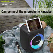 HOPESTAR Party100 Bluetooth 5.0 Portable Waterproof Wireless Bluetooth Speaker with Mobile Charging Function (Black) Eurekaonline