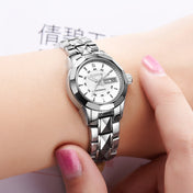 JIN SHI DUN 8813 Fashion Waterproof Luminous Automatic Mechanical Watch, Style:Women(Silver White) Eurekaonline